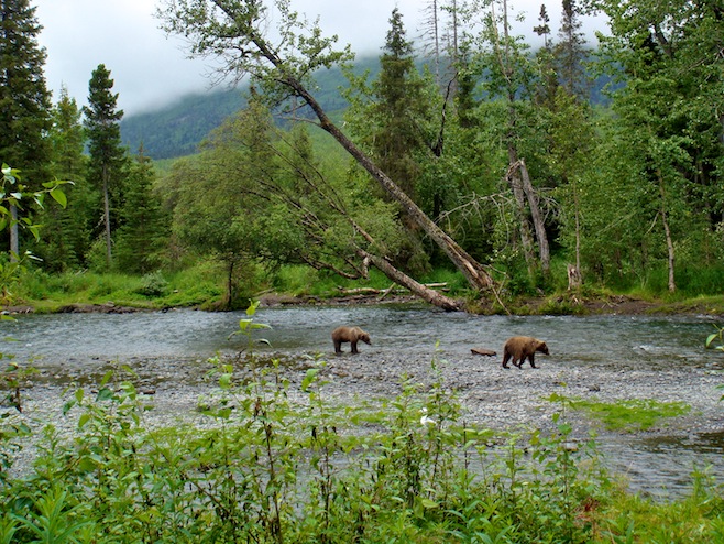 Russian River